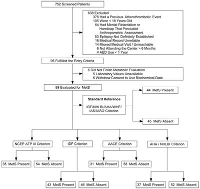 Diagnostic Yield and Accuracy of Different Metabolic Syndrome Criteria in Adult Patients with Epilepsy